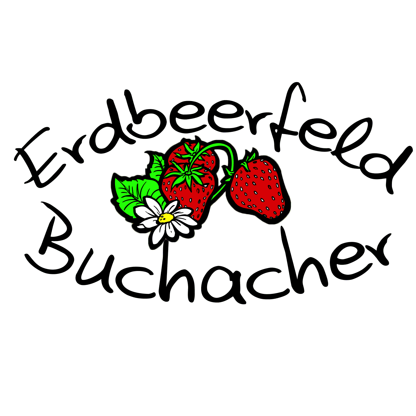Erdbeerfeld Buchacher